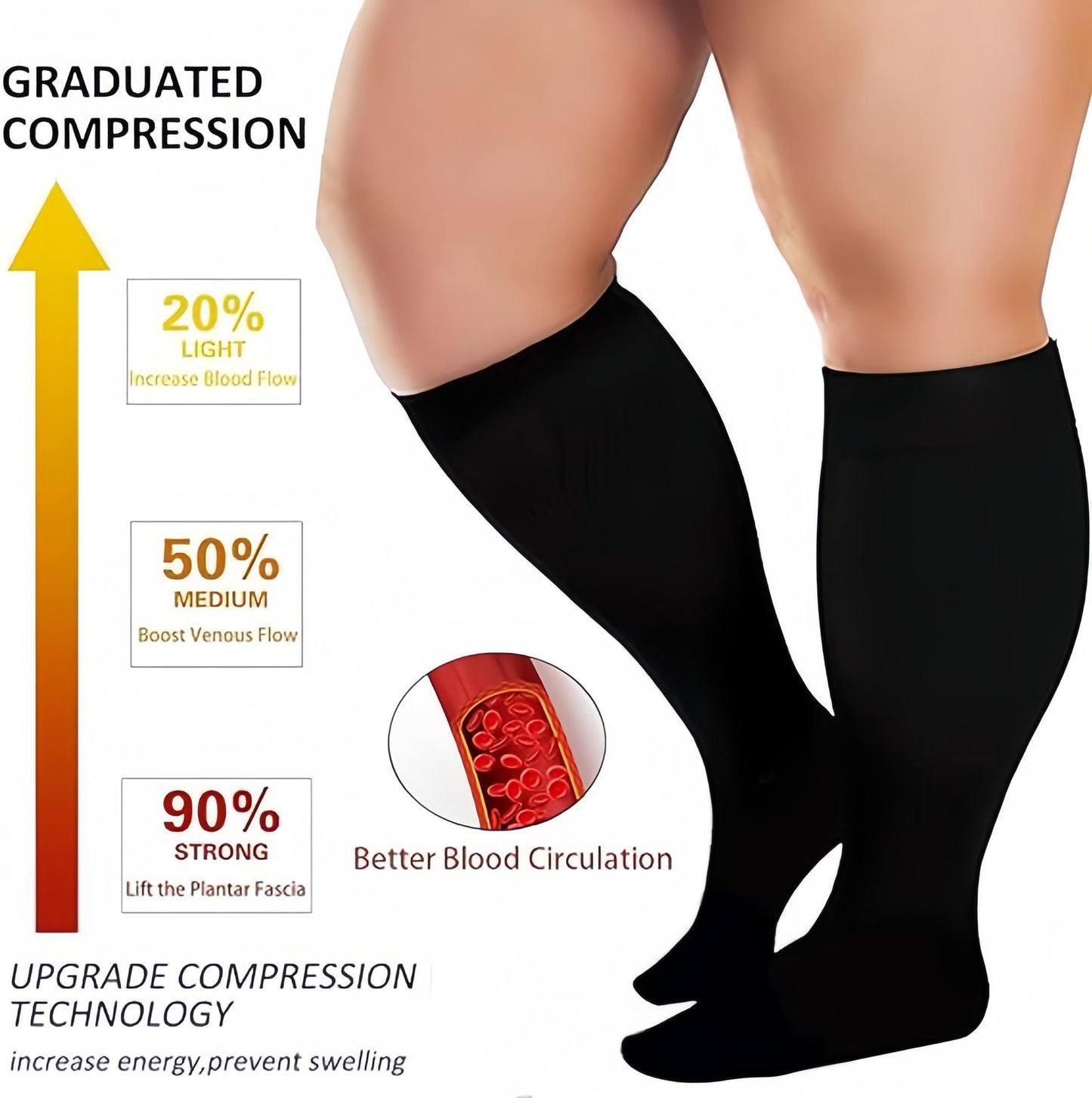 Plus size Compression Socks 20-30 mmHg 3 pairs